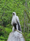 k-IMG-20230529-WA0043