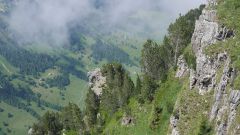 k-P1540912