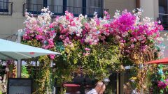 k-IMG-20250907-WA0003