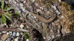 k-IMG_20260307_121108_297