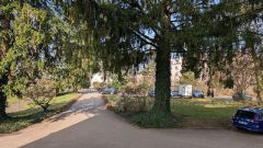 k-IMG_20260309_181539_783