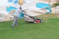 k-IMG_0449