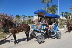 k-IMG_0508