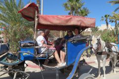 k-IMG_0510