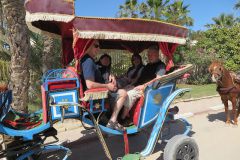 k-IMG_0516
