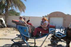 k-IMG_0517