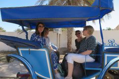 k-IMG_0519