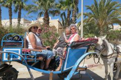 k-IMG_0522