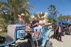 k-IMG_0523