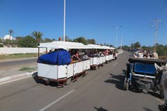 k-IMG_0564