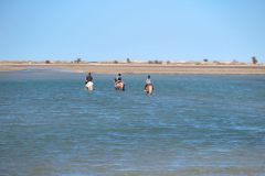 k-IMG_0593