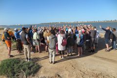 k-IMG_0643