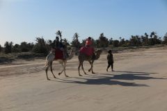 k-IMG_0651