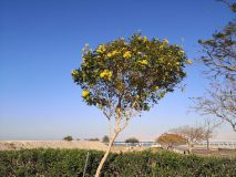 k-IMG_20230217_153306