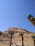 k-IMG_20230218_121340