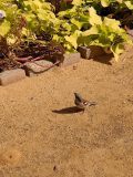 k-IMG_20230218_133357