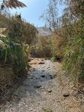 k-IMG-20250305-WA0070
