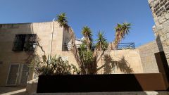 k-IMG_20260217_093816_170