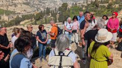 k-IMG_20260217_111710_759