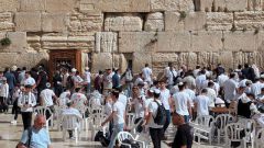 k-IMG_20260217_111721_693