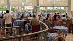 k-IMG_20260217_111942_667