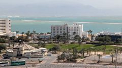 k-PXL_20260212_103446148.RAW-01