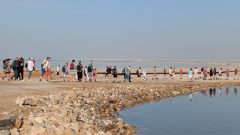 k-PXL_20260212_131842560.RAW-01