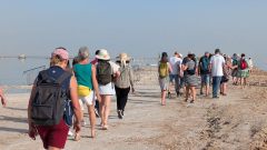 k-PXL_20260212_132035840.RAW-01