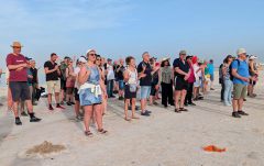 k-PXL_20260212_134955414.RAW-012