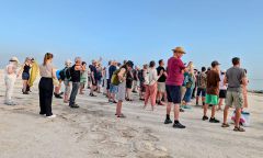 k-PXL_20260212_135141267.RAW-012