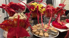 k-PXL_20260212_160741952.RAW-01