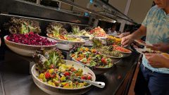 k-PXL_20260212_161005823.RAW-01