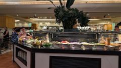 k-PXL_20260212_161058546.RAW-01