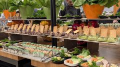 k-PXL_20260213_161146480.RAW-01