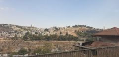 k-20221103_121454