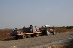 k-DSC00990