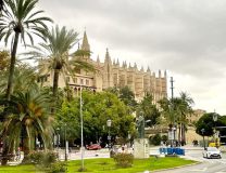 k-IMG-20241101-WA0027