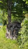 k-IMG_20260510_201839_090
