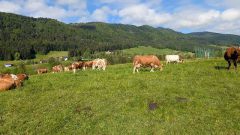 k-IMG_20260510_202009_786
