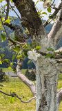 k-IMG_20260510_202449_700