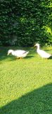 k-IMG-20250521-WA0151