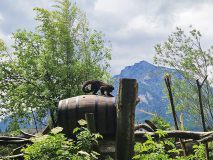 k-IMG-20250521-WA0193-1