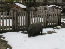k-IMG_3292